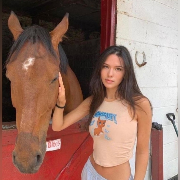 Omighty Y2K Tan Pony Crop Top with Blue and Orange Graphic EUC Medium 17-19 PTP - Picture 1 of 6